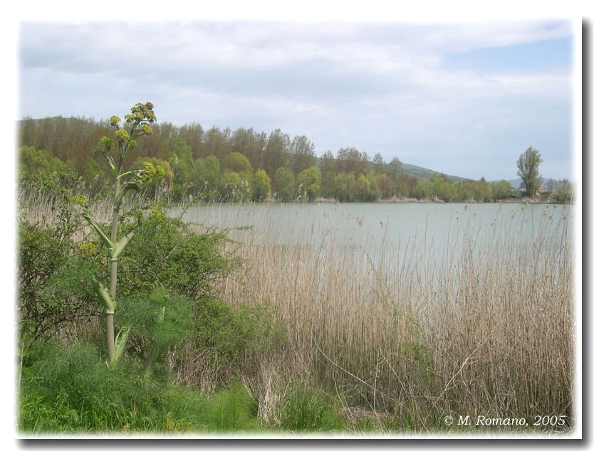 Laghi......della SICILIA